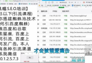 黑帽seo處理事件引流推廣：揭秘背后手段與影響