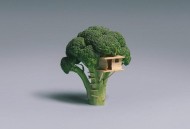 查詢網站ICP備案