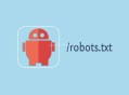 Robots.txt文件要如何正確設置