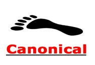 最新j黑帽seo:Canonical標簽是什么，它在SEO的應用！