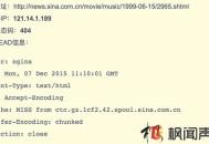 新浪王久明分享死鏈解決方案 教你如何處理預(yù)防網(wǎng)站死鏈