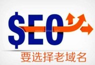老域名對SEO幫助大么？什么樣老域名可以快速排名？