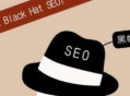 seo黑帽技術有哪些_seo黑帽是什么意思