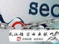 黑帽seo相關書籍:【SEO干貨】談談若何行使站群來優化網站