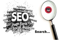 黑帽寄生蟲seo:SEO“四處一詞”與“五處一詞”的區別！