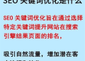 有效去除黑帽SEO的方法與策略