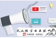 黑帽seo快排:整站優化若何效率上詞呢？