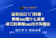 深入探究學習黑帽SEO的技巧方法與潛在風險