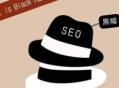 seo黑帽技術網_seo黑帽是什么意思