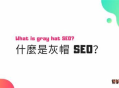 黑帽SEO培訓操作：揭秘那些不為人知的網絡推廣暗黑技巧