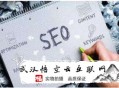 黑帽seo最穩(wěn)定的方式:婁底SEO公司談SEO網(wǎng)站需要診斷哪些地方