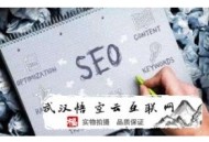 黑帽seo通過什么賺錢:讓悟空云小編告訴你快照倒退的那些事