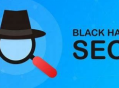 黑帽子seo 百度