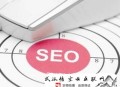 黑帽seo大神狼與:【SEO分享】：網(wǎng)站優(yōu)化公司都有哪些手段呢