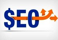 黑帽 白帽seo:SEO實操，nofollow的3個妙招，老帶新積累權重！