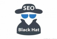 seo黑帽技術有哪些（黑帽子seo常用方法是）