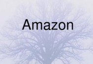 獨立站應該怎樣做？運營獨立站需要注意什么？_黑帽SEO優化