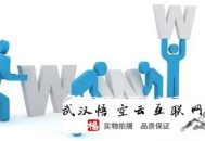 黑帽seo泛站群:SEO優化外包優化服務項目有哪些？