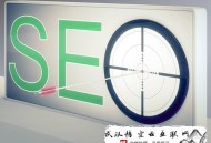 黑帽seo 劫持:網站打開速率慢解決設施！