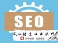 seo的黑帽技術詞:無錫SEO網站若何診斷呢？