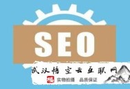 seo的黑帽技術詞:無錫SEO網(wǎng)站若何診斷呢？