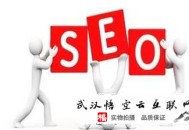 這就是黑帽seo:SEO優化新站優化的設施