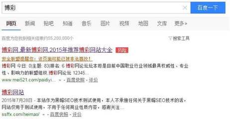 尋求黑帽SEO合作 共享網(wǎng)絡(luò)推廣新機(jī)遇與策略