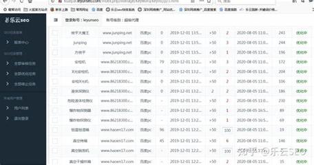 黑帽SEO西安：探尋網(wǎng)絡(luò)推廣背后的隱秘門道與風險挑戰(zhàn)