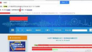 黑帽論壇seo的詳細情況(seo黑帽教學網)