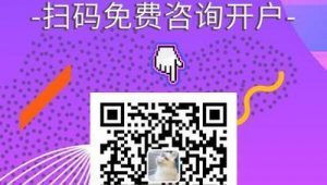 seo按天收費(fèi)是黑帽嗎知乎(seo按天計(jì)費(fèi)公司)