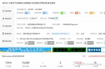 百度seo黑帽快速排名技巧揭秘及風險警示
