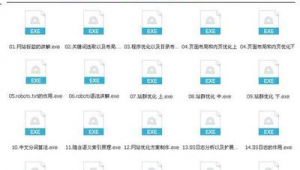 黑帽seo 隱藏鏈接