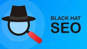 黑帽子seo 百度