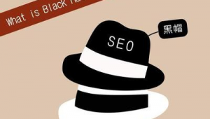 seo黑帽怎么賺錢(最新seo黑帽技術工具軟件)