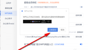 wps電腦緩存