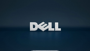 戴爾電腦照片圖標