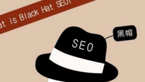 seo黑帽技術有哪些_seo黑帽是什么意思