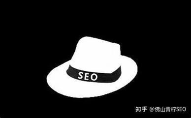 黑帽seo網(wǎng)站百度百科：揭秘其背后不為人知的秘密與風險