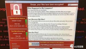 讓電腦癱瘓的軟件