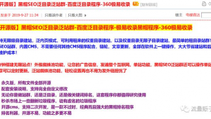 黑帽論壇seo的詳細(xì)情況(seo黑帽技術(shù)有哪些)